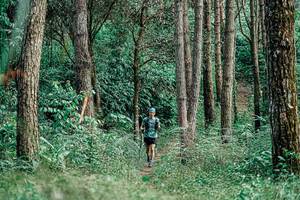 BIB: 
                            <button type="button" onclick="openModal(25235798)" class="btn btn-primary btn-sm float-right btn-popup" data-toggle="modal" data-target=".modal-high-quality">
                        <i class="fas fa-shopping-cart"></i> Add to Cart
                    </button>
                                            <button type="button" onclick="isThisMe(25235798, true)" class="btn btn-success btn-sm float-right btn-popup btn-isme hidden" data-toggle="tooltip" data-placement="bottom" title="นี่คือรูปของคุณใช่ไหม คลิกที่นี่เพื่อเอาเข้าอัลบั้ม">
                        <i class="fas fa-plus"></i> Add to album
                    </button>
                    <button type="button" onclick="isThisMe(25235798, false)" class="btn btn-warning btn-sm float-right btn-popup btn-isnotme hidden">
                        <i class="fas fa-ban"></i> Remove from album
                    </button>